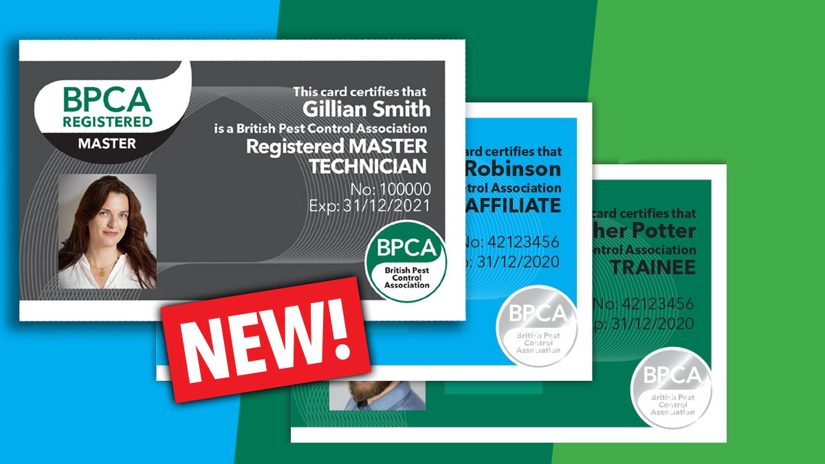 bpca-registered-master-technician bpca-registered-master-technician